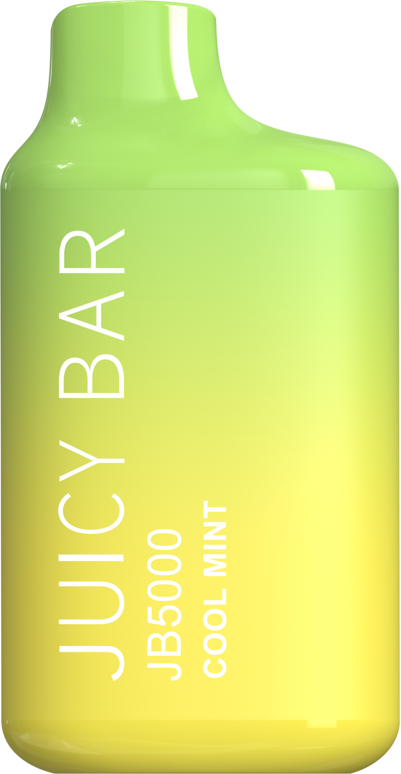 Juicy Bar JB5000 Disposable Vape - Cool Mint