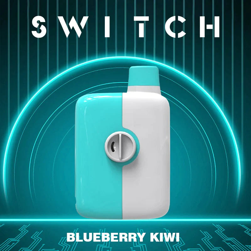 Mr Fog Switch Disposable Vape - Blueberry Kiwi